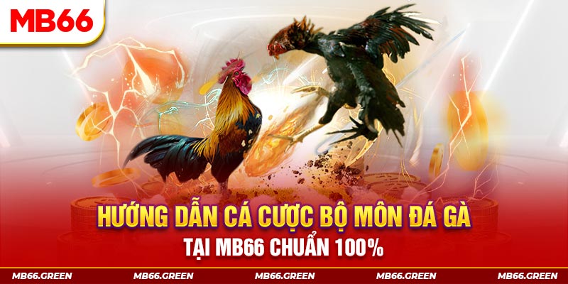 88new chơi baccarat là gì