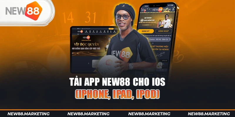 88new gà chọi cậu thanh
