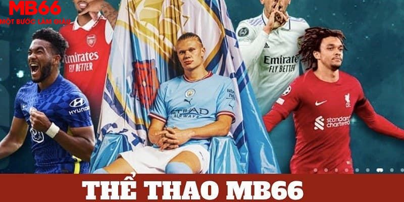 88new bản tình ca mùa đông