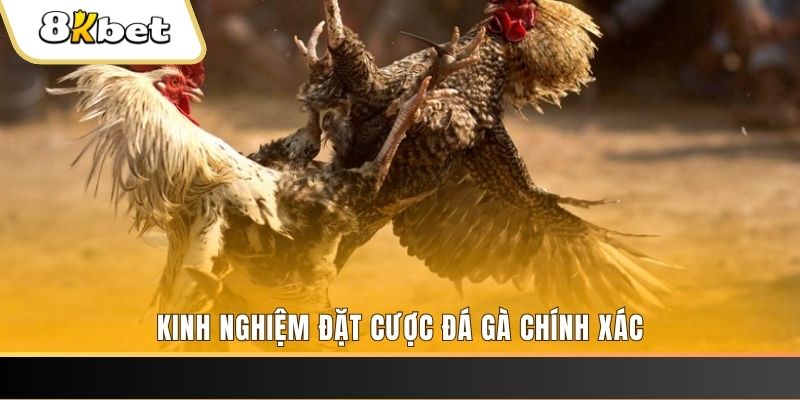 88new xổ số thứ bảy hàng tuần