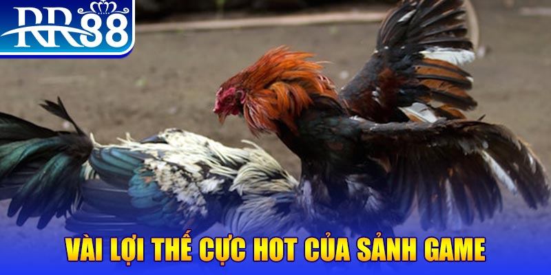 88new xổ số quảng nam