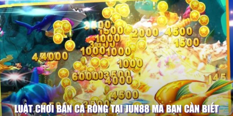 88new xổ số đài hà nội