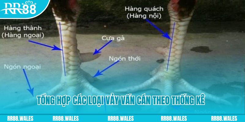 88new HB Điện Tử