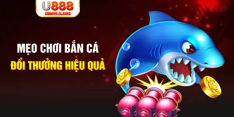 88new gà chọi cam ranh