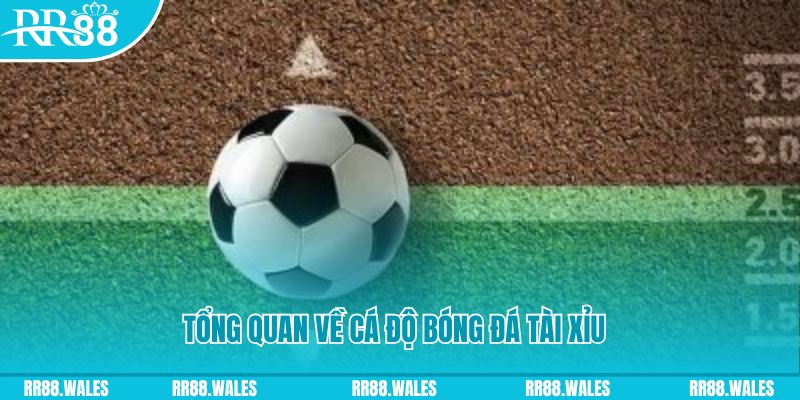 88new đăng nhập roulette online