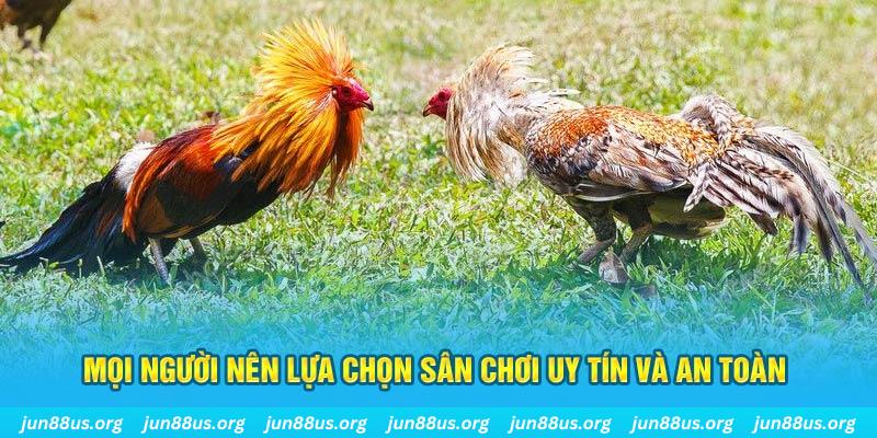 88new Cỡ bảy