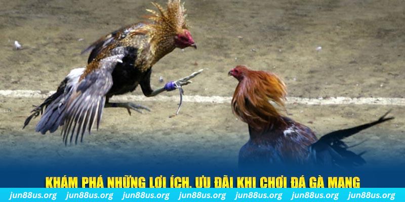 88new đăng nhập liêng live