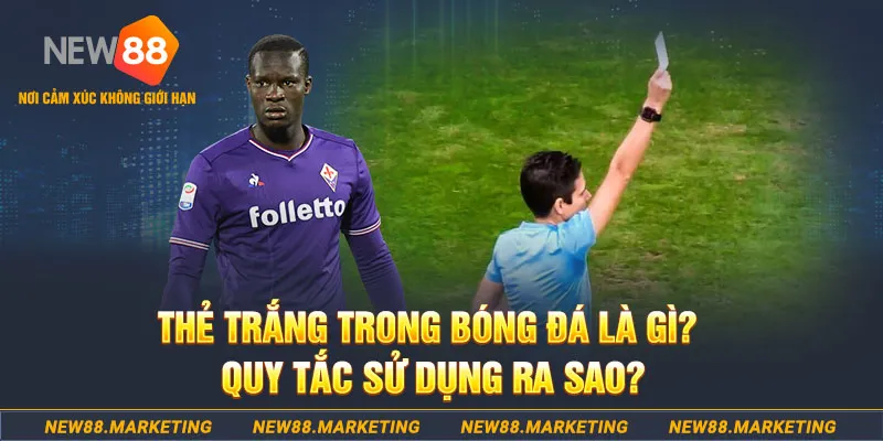 88new đăng nhập sòng bạc hôm nay