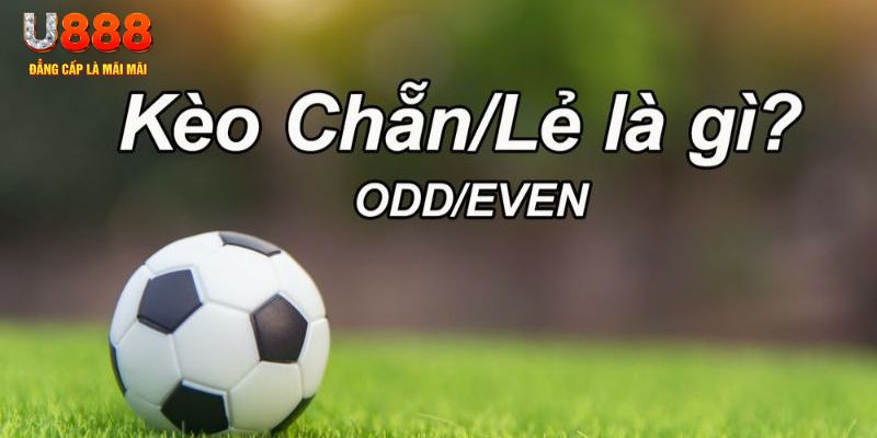 88new đăng nhập sòng bạc 2024