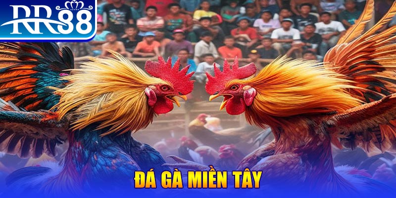 88new người chia bài trong casino gọi là gì