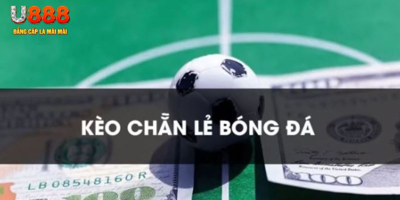 88new gà chọi c1.tv
