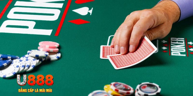 88new đá gà 88