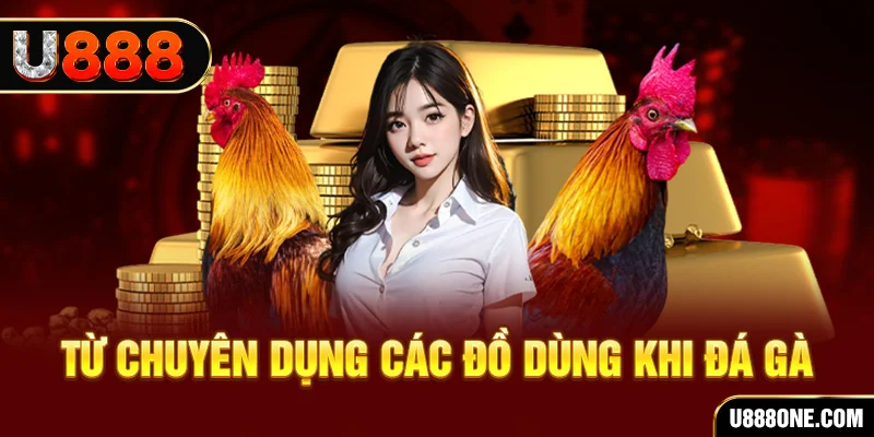 88new đá gà trực tiếp campuchia